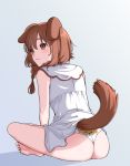  1girl :3 animal_ears animal_print ass bare_legs barefoot blue_background blush braid brown_eyes brown_hair closed_mouth commentary crossed_legs dog_ears dog_print dog_tail dress from_behind full_body hair_between_eyes highres hololive indian_style inugami_korone itamikiko medium_hair no_pants panties shadow short_dress side_braids simple_background sitting sleeveless sleeveless_dress smile solo tail twin_braids underwear virtual_youtuber white_dress white_panties 