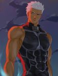  1boy abs alternate_costume archer armor automney bara bare_shoulders breastplate brown_eyes chest closed_mouth clouds cloudy_sky covered_abs covered_navel dark_skin dark_skinned_male fate/grand_order fate/stay_night fate_(series) gradient gradient_clothes looking_at_viewer male_focus manly muscle night night_sky pectorals revealing_clothes sky sleeveless solo star_(sky) tight toned toned_male upper_body white_hair 