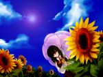  flower from_below kazami_yuuka manose sky sunflower touhou umbrella 