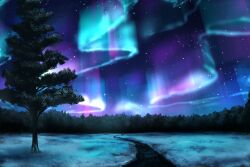  aurora highres night no_humans original outdoors path scenery shimasa_(galadm85) sky snow star_(sky) starry_sky tree 