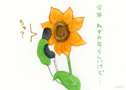  artist_name commentary_request corded_phone flower gotte holding holding_phone no_humans original painting_(medium) phone plant plant_focus sunflower talking_on_phone traditional_media translation_request watercolor_(medium) 