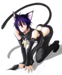  animal_ears black_lynx blue_hair cat_ears cross male purple_eyes shugo_chara! tail tsukiyomi_ikuto violet_eyes 