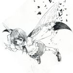  bad_id cape ikuhana_niiro insect insect_wings lowres monochrome touhou traditional_media wings wriggle_nightbug 
