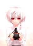  1girl bangs black_neckwear blush bowl braid breasts chopsticks closed_mouth eyebrows_visible_through_hair hirari_minase holding holding_bowl holding_chopsticks holy_breaker! long_sleeves looking_at_viewer red_eyes shirt short_hair side_braid solo white_background white_hair white_shirt zen 