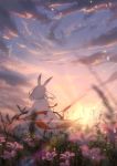  1girl absurdres animal_ears arknights back blurry chinese_commentary cloak clouds cloudy_sky commentary cowboy_shot dawn depth_of_field field flower from_behind frostnova_(arknights) highres kagura_tohru light_particles outdoors rabbit_ears scenery short_hair sky solo standing sun sunlight white_cloak white_hair wind 