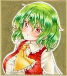  1girl bangs blush breasts collared_shirt commentary_request eyebrows_visible_through_hair graphite_(medium) green_hair hair_between_eyes highres kazami_yuuka long_sleeves looking_at_viewer marker_(medium) medium_breasts neckerchief nekofish666 open_mouth portrait red_eyes red_vest shirt short_hair solo touhou traditional_media vest white_shirt yellow_neckwear 