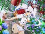  1girl bag bamboo_fence blue_flower blush breasts bush buttons dutch_angle eyepatch fence flower forest gloves hair_ornament highres holding kunai large_breasts long_hair looking_at_viewer nature navel official_art pillar pink_flower rain red_eyes reflection sailor_collar satchel senran_kagura senran_kagura_new_link shirt shuriken skirt solo temple thigh-highs tree twintails umbrella water_drop weapon white_gloves white_hair white_shirt yaegashi_nan yagyuu_(senran_kagura) 