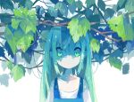  1girl absurdres aqua_theme collarbone green_eyes highres long_hair looking_at_viewer natsu-no-kamisama no_mouth no_nose original pale_skin plant raised_eyebrows shaded_face sidelocks simple_background solo suspenders underwear very_long_hair vines white_background 