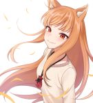  1girl animal_ear_fluff animal_ears blush brown_hair child_(isoliya) commentary eyebrows_visible_through_hair highres holo long_hair long_sleeves looking_at_viewer pouch red_eyes simple_background smile solo spice_and_wolf white_background wolf_ears wolf_girl 