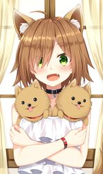  1girl :d ahoge animal animal_ear_fluff animal_ears animal_in_clothes bangs blush brown_hair cerberus collarbone commentary_request crossed_arms curtains day dog dress eyebrows_visible_through_hair eyes_visible_through_hair fang green_eyes hair_over_one_eye highres indoors kemonomimi_mode komori_kuzuyu looking_at_viewer open_mouth original smile solo sunlight tongue tongue_out transparent upper_body white_dress window 