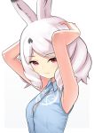  1girl animal_ear_fluff animal_ears arctic_hare_(kemono_friends) armpits arms_up blue_shirt bra bra_peek breasts commentary_request dl2go expressionless eyebrows_visible_through_hair highres kemono_friends medium_hair rabbit_ears red_eyes shirt simple_background sleeveless sleeveless_shirt small_breasts solo underwear upper_body white_background white_hair wing_collar 