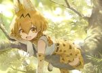  1girl :d animal_ear_fluff animal_ears bangs boots bow bowtie chin_rest commentary day elbow_gloves extra_ears eyebrows_visible_through_hair gloves hair_between_eyes in_tree kemono_friends looking_at_viewer mossi nature open_mouth outdoors print_bow print_gloves print_legwear print_neckwear serval_(kemono_friends) serval_ears serval_print serval_tail smile solo tail thigh-highs tree tree_branch white_footwear yellow_eyes 