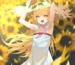  1girl armpits arms_up bakemonogatari bangs bare_shoulders bow dress fangs flower hands_on_headwear hat highres holding long_hair monogatari_(series) open_mouth oshino_shinobu outdoors red_bow solo ssangbong-llama standing straw_hat sunflower vampire white_dress yellow_eyes 