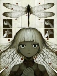  1girl arthropod_girl black_lips bug closed_mouth clothing_cutout colored_sclera colored_skin commentary dragonfly english_commentary expressionless grey_sclera grey_skin head_wings highres insect_wings isa_(31q_13) jewelry lace original ring ringed_eyes shoulder_cutout solo white_eyes white_hair wings 