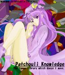  english haku_rin highres panties pantyshot patchouli_knowledge purple_eyes purple_hair shirosuzu touhou underwear violet_eyes 