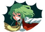  bad_id bust eyelashes green_eyes green_hair kazami_yuuka kumadano plaid_vest short_hair smile touhou 