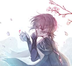  1boy armor blue_sleeves blunt_ends branch bridal_gauntlets capelet cherry_blossoms commentary covering_own_mouth disintegration eyelashes falling_petals flower from_side furisode genshin_impact grey_bridal_gauntlets grey_capelet grey_hair hand_over_own_mouth hands_up japanese_armor japanese_clothes kimono kote kurokote layered_sleeves looking_to_the_side male_focus middle_ring mpginyuu muted_color outdoors petals pink_flower pink_petals scaramouche_(genshin_impact) short_sleeves solo symbol-only_commentary tsurime violet_eyes wanderer_(genshin_impact) watermark white_background white_petals white_sleeves 