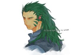  1boy 91007 animal_ears closed_mouth commentary_request fire_emblem fire_emblem:_path_of_radiance fire_emblem:_radiant_dawn green_hair laguz_(fire_emblem) looking_at_viewer male_focus muarim_(fire_emblem) solo tiger_boy yellow_eyes 