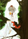  in_tree inubashiri_momiji kuma_(artist) kuma_(crimsonvanilla) sitting sitting_in_tree touhou tree tree_sitting trees 