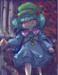  hat kawashiro_nitori sayuu_hanten touhou 