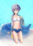  1girl arm_support bikini commentary_request danaka flower_(vocaloid) full_body grey_jacket inflatable_toy inflatable_whale jacket kneeling looking_at_viewer midriff multicolored_hair nail_polish navel pool purple_hair sandals short_hair solo streaked_hair swimsuit tile_floor tiles v_flower_(vocaloid4) violet_eyes vocaloid whale white_bikini white_hair yellow_nails 
