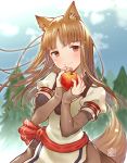  1girl animal_ears apple bangs blush bomhat brown_eyes brown_hair cowboy_shot eyebrows_visible_through_hair food fruit holding holding_food holding_fruit holo looking_at_viewer sash smile solo spice_and_wolf tail tree wolf_ears wolf_tail 