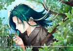  1boy branch cover cover_page doujin_cover green_hair highres itigojam11234 itsuki_(yuu_yuu_hakusho) leaf lips long_hair looking_at_viewer male_focus parted_lips solo upper_body yellow_eyes yuu_yuu_hakusho 