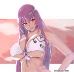  1girl alternate_costume bikini breasts clouds cloudy_sky dated fate/grand_order fate_(series) highres large_breasts lips purple_hair red_eyes scathach_(fate)_(all) scathach_skadi_(fate/grand_order) sky smile solo sunset swimsuit zumizu 