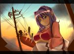  1girl bag blue_eyes braid bread breast_hold fesuta food groceries hair_intakes kanon minase_akiko power_lines purple_hair solo spring_onion sunset sweater 