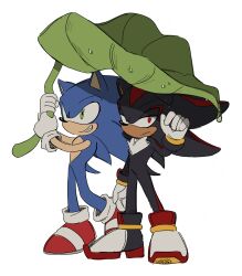  2boys animal_ears animal_nose black_fur blue_fur full_body furry furry_male gloves grin hedgehog_boy highres leaf leaf_umbrella male_focus multiple_boys red_eyes shadow_the_hedgehog simple_background smile sonic_(series) sonic_the_hedgehog standing tail unneul water_drop white_background white_gloves 