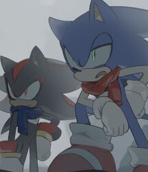  2boys animal_ears animal_nose black_fur blue_fur blue_scarf body_fur bracelet closed_mouth commentary_request fang furry furry_male gloves gold_bracelet green_eyes hand_on_own_hip highres jewelry looking_to_the_side male_focus multiple_boys open_mouth red_eyes red_fur red_scarf red_shoes scarf shadow_the_hedgehog shoes short_tail simple_background sneakers socks sonic_(series) sonic_the_hedgehog standing tail teeth tongue two-tone_fur unneul white_background white_gloves white_socks 