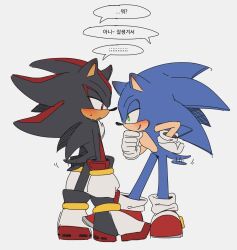  2boys animal_ears animal_nose black_fur blue_fur blush full_body furry furry_male gloves green_eyes hedgehog_boy highres implied_yaoi korean_text male_focus multiple_boys red_eyes red_fur red_shoes shadow_the_hedgehog shoes short_tail simple_background smile sonic_(series) sonic_the_hedgehog standing tail tail_wagging translation_request two-tone_fur unneul white_background white_gloves 