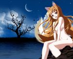  holo spice_and_wolf tagme tail 