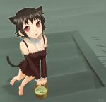  barefoot black_hair blush bucket bucket_of_water cat_ears cat_tail dress fang fish red_eyes short_hair tail ume_(driveume) 