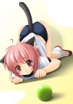  ? all_fours animal_ears bent_over blush buruma cat_ears cat_tail gym_uniform loli pink_hair shibacha shoes socks tail uwabaki 