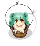  girl_in_bucket green_hair in_bucket in_container kisume nude touhou 