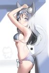  160mp 1girl absurdres animal_ear_fluff animal_ears arms_up ass bangs bare_arms bare_shoulders bra breasts cat_ears cat_tail commentary cowboy_shot grey_bra grey_eyes grey_panties highres long_hair looking_at_viewer medium_breasts original panties polka_dot polka_dot_panties silver_hair solo standing tail underwear 