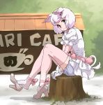  1girl animal_ears ankle_ribbon between_legs bloomers brown_eyes dress eyebrows_visible_through_hair eyes_visible_through_hair full_body gloves gradient gradient_legwear hair_ornament hairclip hand_between_legs high_heels highres japari_symbol kemono_friends looking_at_viewer neck_ribbon outdoors pig_(kemono_friends) pig_ears pig_tail pink_hair pink_legwear pink_ribbon puffy_short_sleeves puffy_sleeves ribbon shoe_dangle short_hair short_sleeves sitting smile solo tail tanabe_(fueisei) thigh-highs tree_stump underwear white_bloomers white_dress white_gloves white_legwear 