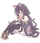  1girl animal animal_ear_fluff animal_ears bangs bare_shoulders black_cat black_hair black_legwear black_sleeves blade_(galaxist) blush boots breasts brown_footwear cat cat_ears cat_girl cat_tail detached_sleeves eyebrows_visible_through_hair feeding food frilled_skirt frills full_body green_eyes grey_hair hair_between_eyes high_heel_boots high_heels holding holding_food karyl_(princess_connect!) knees_up long_hair long_sleeves low_twintails multicolored_hair onigiri princess_connect! princess_connect!_re:dive purple_skirt shadow shirt sitting skirt sleeveless sleeveless_shirt small_breasts solo streaked_hair tail thigh-highs twintails very_long_hair white_background white_shirt wide_sleeves 