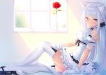  1girl animal_ears bangs bare_shoulders cat_ears cat_tail day eyebrows_visible_through_hair flower gloves indoors long_hair looking_at_viewer original profile red_eyes red_flower red_rose rose sitting solo tail thigh-highs white_gloves white_hair white_legwear window zizi_(zz22) 