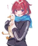  1girl :d absurdres animal bangs bird black_jacket blue_scarf blush commentary_request eyebrows_visible_through_hair fringe_trim goose heremia highres holding holding_animal jacket long_sleeves looking_at_viewer open_mouth original red_eyes redhead scarf simple_background sleeves_past_wrists smile solo translation_request upper_body upper_teeth white_background 
