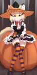  1girl alternate_costume animal_ears black_hair blonde_hair commission eyebrows_visible_through_hair halloween halloween_costume highres karekusa_meronu kemono_friends looking_at_viewer multicolored_clothes multicolored_hair multicolored_legwear orange_legwear over-kneehighs parted_lips pumpkin purple_legwear sand_cat_(kemono_friends) short_hair skeb_commission solo tail thigh-highs white_hair yellow_eyes 