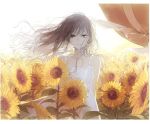  1girl brown_eyes brown_hair dress flower hat hat_removed headwear_removed kakmxxxny06 long_hair original solo sunflower white_dress wind 