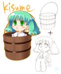  bucket girl_in_bucket green_eyes green_hair hair_bobbles hair_ornament in_bucket in_container kisume touhou 
