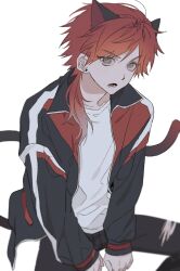  1boy alternate_costume animal_ears between_legs cat_boy cat_ears cat_tail gradient_hair gradient_tail green_eyes hand_between_legs highres inedible0217 invisible_chair jacket kemonomimi_mode lauren_iroas long_sleeves looking_at_viewer lower_teeth_only male_focus multicolored_hair multicolored_jacket nijisanji open_clothes open_jacket open_mouth parted_bangs ponytail red_hair shirt side_ponytail simple_background sitting solo tail teeth virtual_youtuber white_background white_shirt 