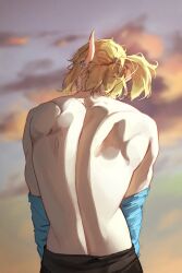  1boy absurdres back back_focus back_muscles black_pants blue_shirt clouds commentary_request earrings edwin62293123 elf from_behind highres jewelry link long_pointy_ears male_focus pants piercing pointy_ears ponytail shirt shirt_partially_removed solo the_legend_of_zelda the_legend_of_zelda:_breath_of_the_wild toned toned_male 