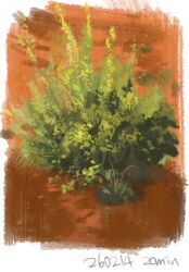  artist_name bush dirt gugugu703 no_humans original outdoors plant plant_focus 