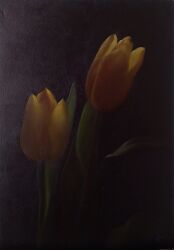  flower flower_focus no_humans original plant plant_focus tulip xuahqcpelcqniyj yellow_flower yellow_tulip 