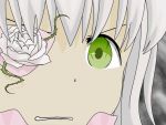  face gununu kirakishou rozen_maiden 