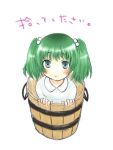  girl_in_bucket green_hair in_bucket in_container kisume rin_(artist) rin_(royal) touhou 